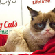 Image for article titled I Met Grumpy Cat and It Was Fucking Abysmal